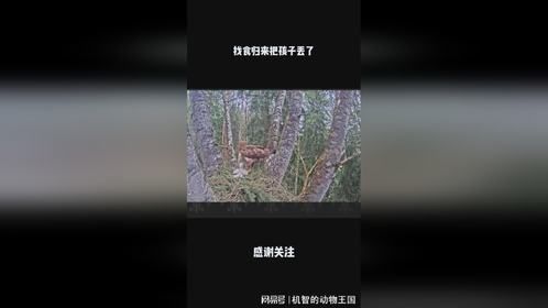 找食归来把孩子丢了