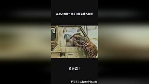 车里人的勇气跟反应属实让人佩服