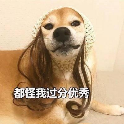 家里的宠物面临断粮？那也不能随便喂，快来看看宠物能吃的食物吧