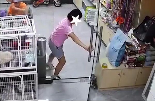 【女孩宠物店推门夹死小猫】家长将带推门夹猫女孩看心理医生
