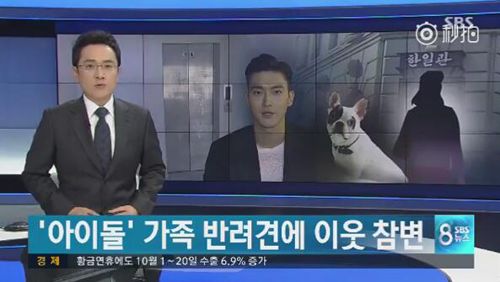 明星爱犬咬伤邻居间接致其死亡,宠物不拴绳害人也害狗