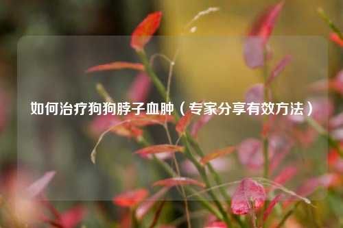 如何治疗狗狗脖子血肿（专家分享有效方法）