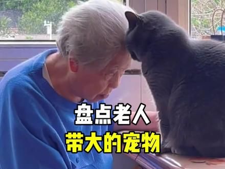 爷爷奶奶养大的宠物，或许他们真的把他们当成自己的孩子了#宠物和老人 #小动物们能有多治愈 #宠物 #歌曲阿嬷