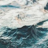 江湖骗子是你呀