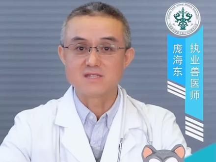#宠物健康课堂 你真的了解犬细小病毒吗?兽医专家权威解读!