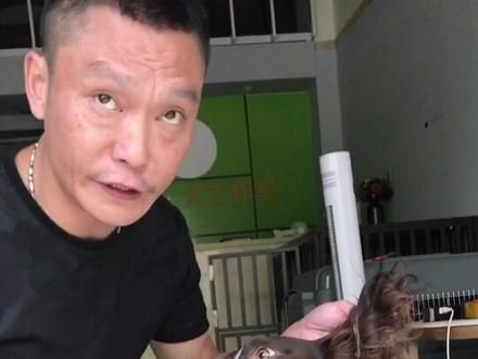 怎样正确的给狗狗喂药片或者胶囊。#宠物健康课堂