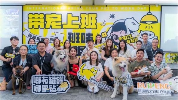 新瑞鹏集团2024年带宠上班日活动回顾