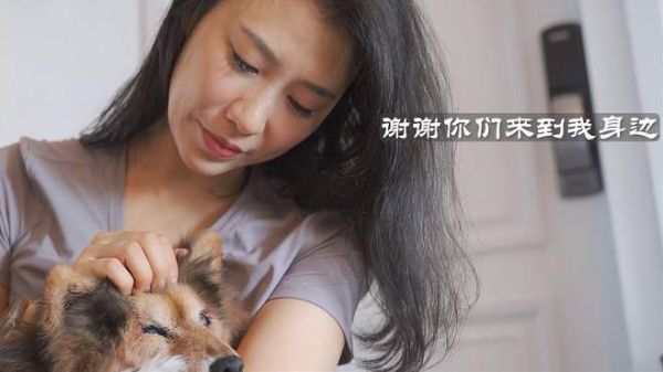「新瑞鹏」爱就是在你身边,不离不弃