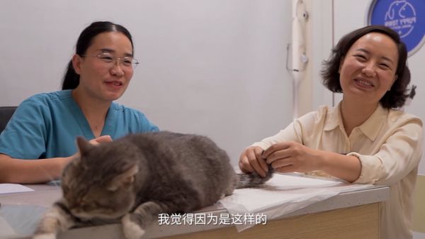 【新瑞鹏】孙艳艳:做毛孩子健康的守护者,做宠主值得信赖的朋友