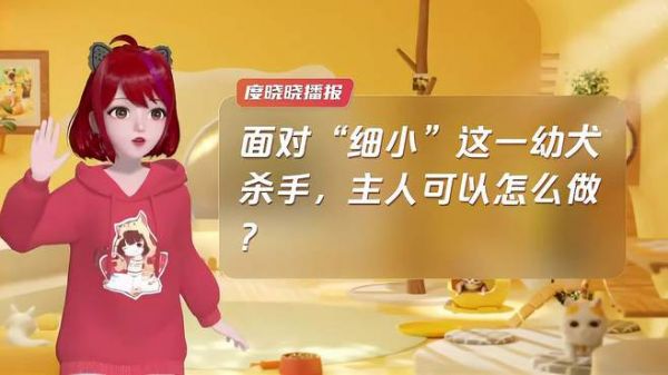 面对“细小”这一幼犬杀手,主人可以怎么做?