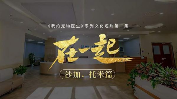 兽医日,我们和客户在一起