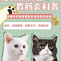 养猫知识科普之胃肠炎