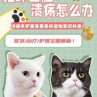 猫咪口腔溃疡怎么办？