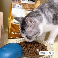 一起来逛展