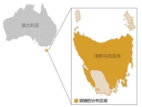 猫狗在澳洲的“发家史”，人类在这一过程中的作用举足轻重