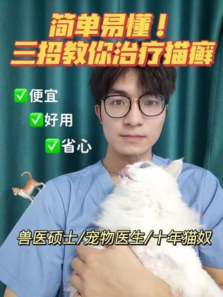 宠物医生罗声扬:资深宠医教你科学治好猫癣(xuan)!一定要看到最后!#科学养猫#猫癣#宠物医生