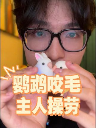 宠物医生罗声扬:鹦鹉为什么会咬掉自己的羽毛 小鸟最可爱辣!小鸟党万岁!评论区挑选宠物相关问题回答,尽我所能哦~#鹦鹉 #宠物医生 #宠物医院 #宠物博主