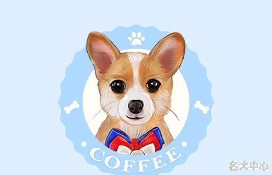给猫美颜 - 京韵国际名犬中心-俱乐部FCI国内合作犬舍