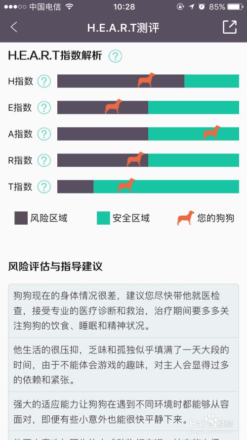 爱喂养这个宠物APP软件有什么用？