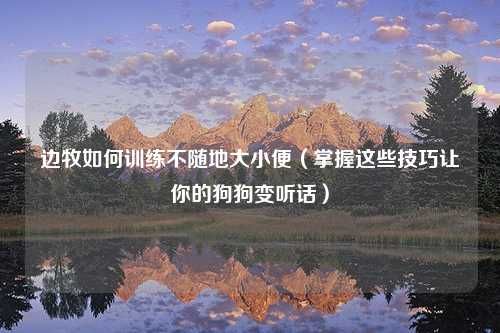 边牧如何训练不随地大小便（掌握这些技巧让你的狗狗变听话）