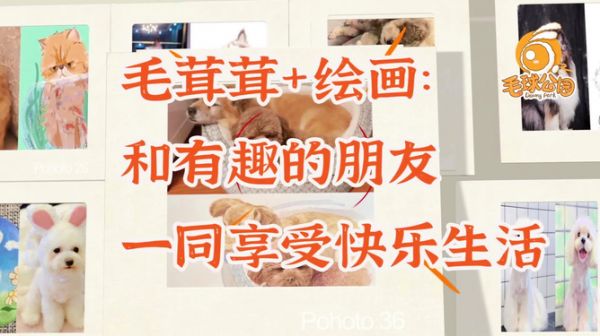 ai绘画特效和宠物文案的异同及优劣比较