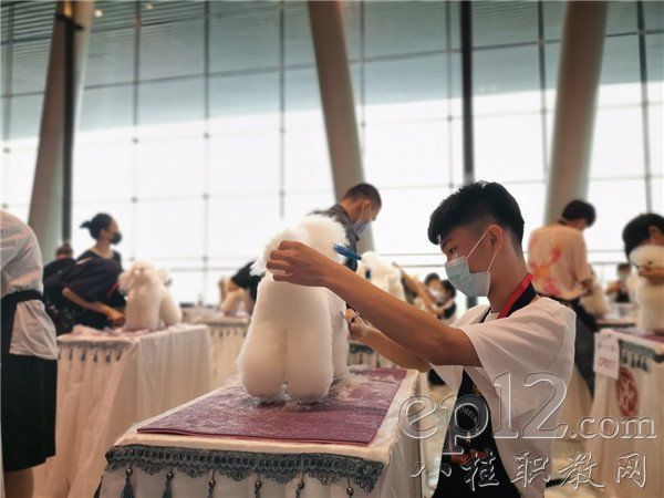 参赛选手沉着应战