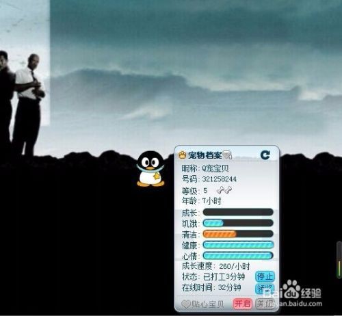 如何喂养QQ宠物
