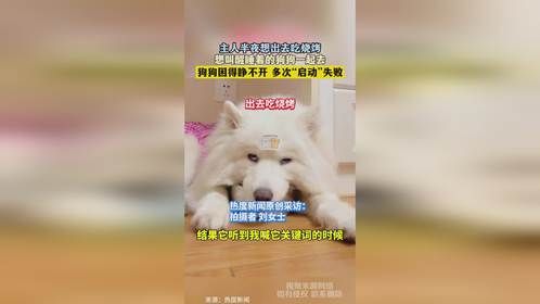 主人半夜想出去吃烧烤，想叫醒睡着的狗狗一起去，狗狗困得睁不开 多次“启动”失败