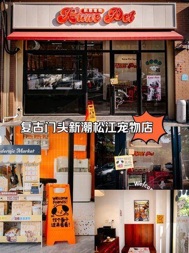 松江颜值C位，美式复古新潮宠物店