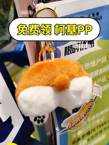 免费送柯基PP