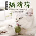 猫薄荷棒棒糖木天蓼棒去毛球猫咪磨牙洁齿玩具猫零食猫糖kc