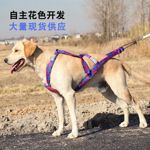 2024跨境爆款狗狗户外雪橇胸背带 哈士奇拉布拉多车载宠物牵引绳