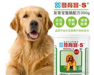 宠物狗的消化问题及解决办法（从饮食、药物到生活习惯）