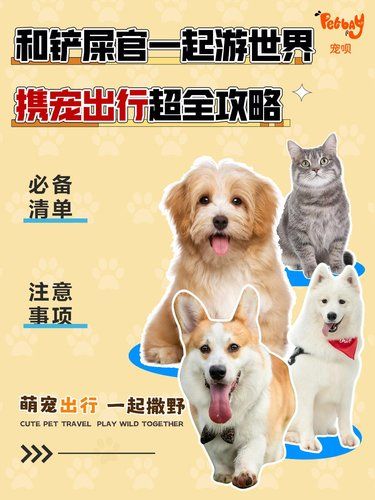 携宠出行攻略丨一篇说清楚所有注意事项