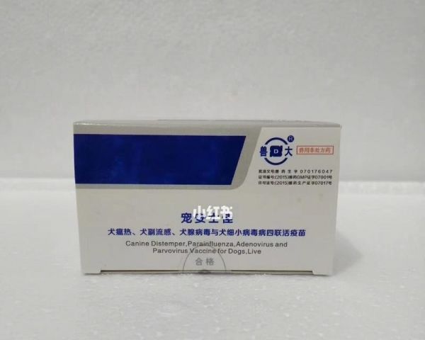 猫咪四联疫苗的必要性（了解疫苗种类及注意事项，保障宠物健康）