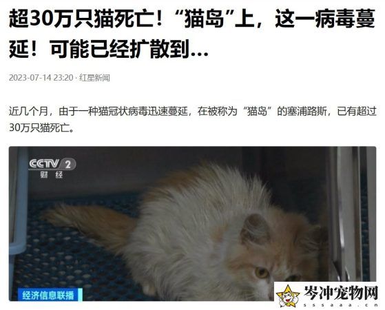 猫冠状病毒会自愈吗