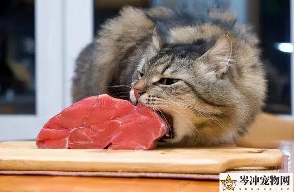 猫冠状病毒会自愈吗