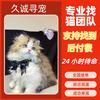 找猫团队久诚寻宠
