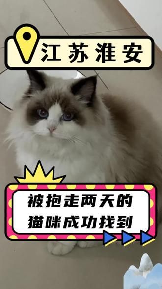 第23集：被抱走的猫咪如何找回？猫咪跑丢，定位器被丢掉，铲屎官心急如焚，找了另外一个团队没有找到猫咪，联系到我们安排师傅上门寻找，半个小时，成功将猫咪接回来！#猫咪救援 #猫咪消防员 #专业找猫团队 #专业寻猫团队 #猫丢了