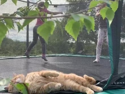 都很快乐#猫咪#小时候的白月光