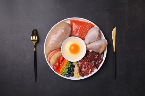 猫咪如何健康饮食？