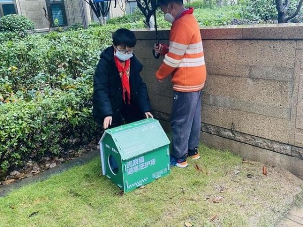 点击查看原始图片