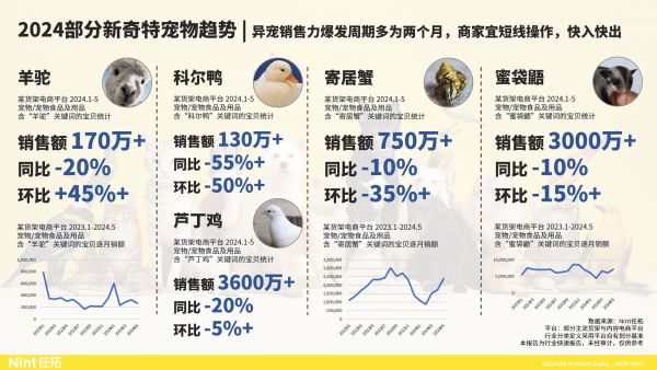 2024部分新奇特宠物趋势