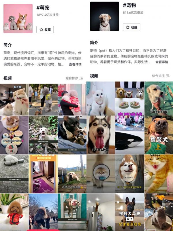 万亿级宠物市场，品牌如何抢占一杯羹？
