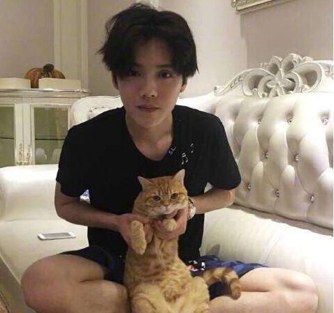 明星宠物哪家强，他的宠物你怎么也不会想到