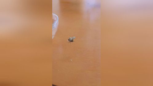 啊？