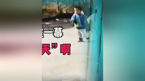 这样的狗狗谁会不喜欢呢？