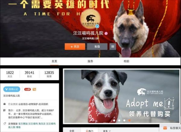领养代替购买｜北京地区宠物救助中心，这些小生命正在等你！