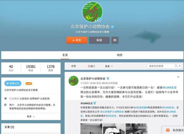 领养代替购买｜北京地区宠物救助中心，这些小生命正在等你！