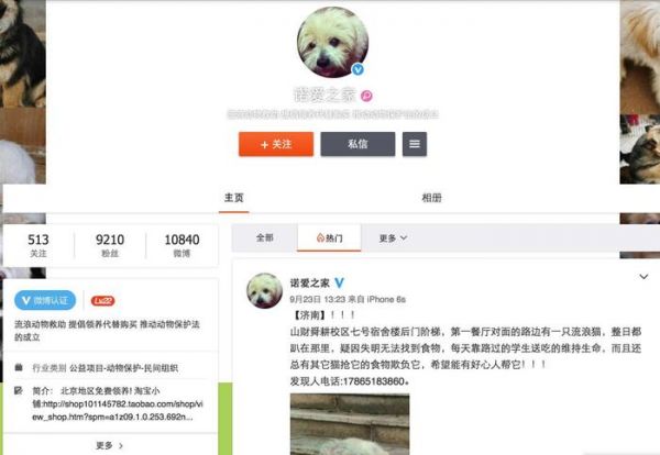 领养代替购买｜北京地区宠物救助中心，这些小生命正在等你！